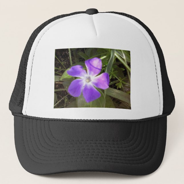 California Wildflower Trucker Hat (Front)