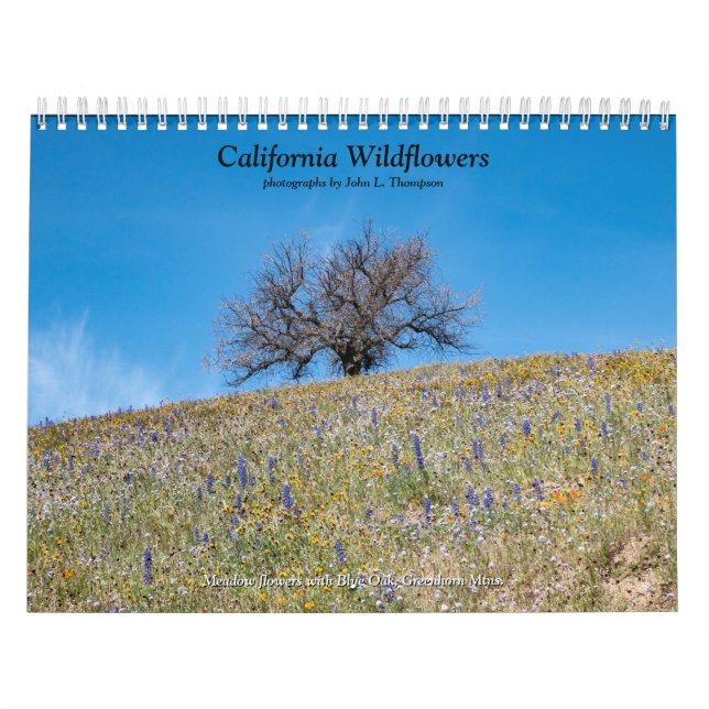California Wildflowers 2020 Calendar (Cover)