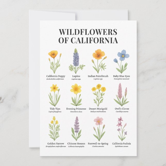 California Wildflowers – Botanical Watercolor Illu Invitation (Front)