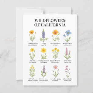 California Wildflowers – Botanical Watercolor Illu Postcard