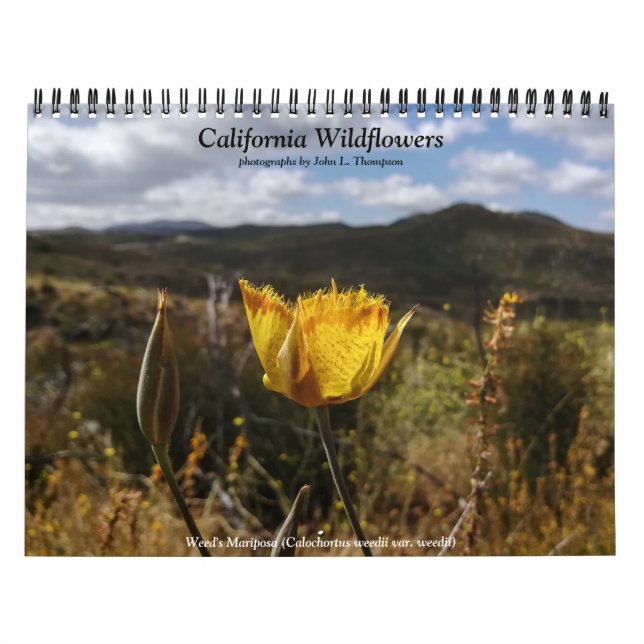 California Wildflowers Calendar (Cover)