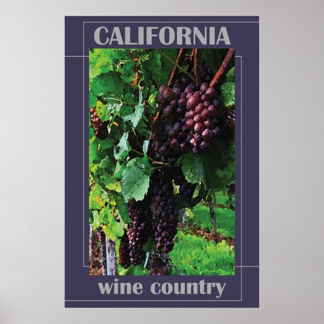 California Wine Country Poster (Front)