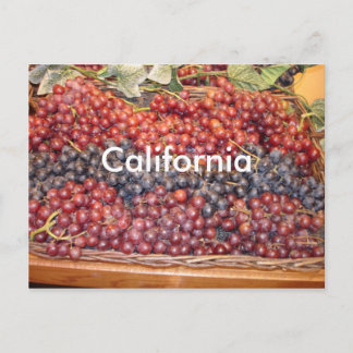 California Winery Postcard