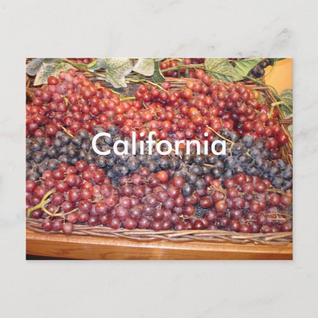 California Winery Postcard (Front)