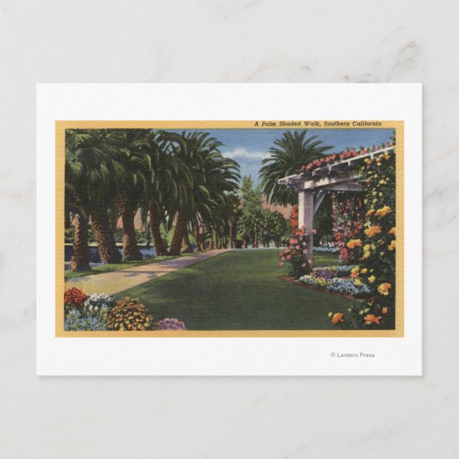 CaliforniaA Palm Shaded Walk Postcard (Front)