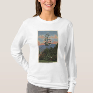 CaliforniaCentury Plant in Bloom T-Shirt