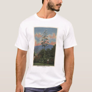 CaliforniaCentury Plant in Bloom T-Shirt