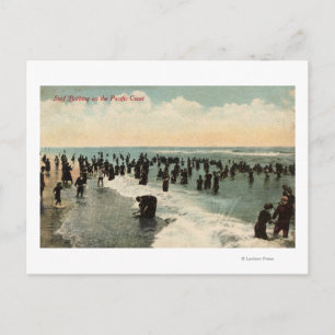 CaliforniaCrowds Swimming on the Pacific Coast Postcard