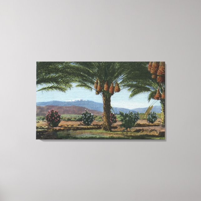 CaliforniaDates Growing in the Coachella Canvas Print (Front)