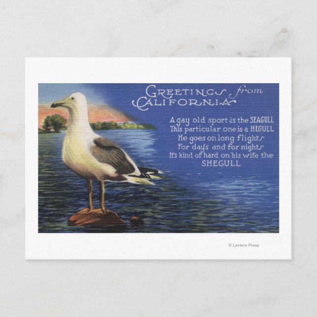 CaliforniaGreetings From, Seagull Poem Postcard (Front)