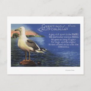 CaliforniaGreetings From, Seagull Poem Postcard