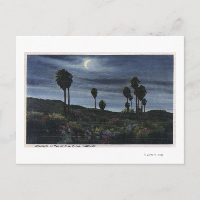 CaliforniaMoonlit View at Twenty-Nine Palms Postcard (Front)
