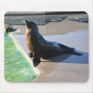 Californian sea lion mouse mat