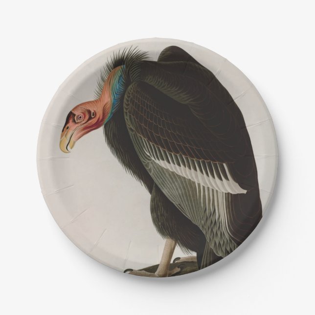Californian Vulture Birds of America Audubon Print Paper Plate (Front)