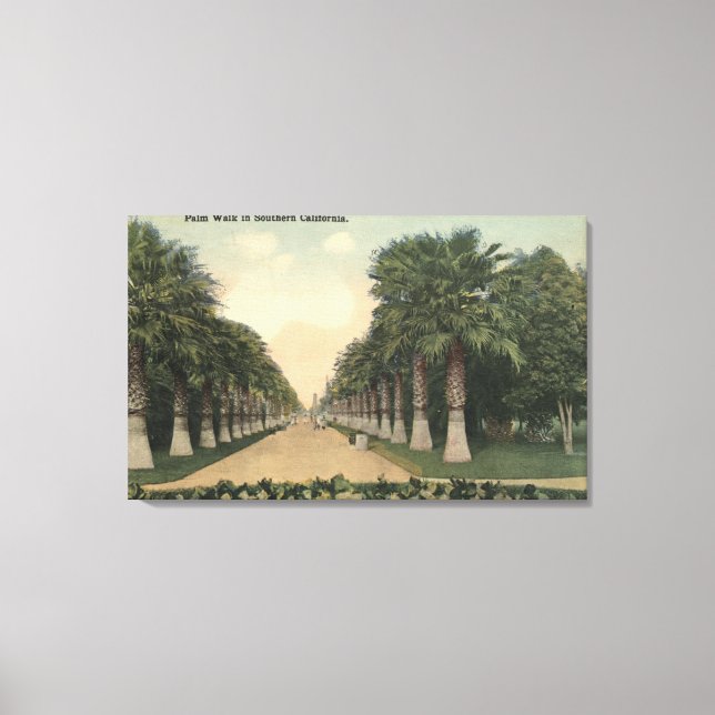 CaliforniaPalms Alongside Road Canvas Print (Front)