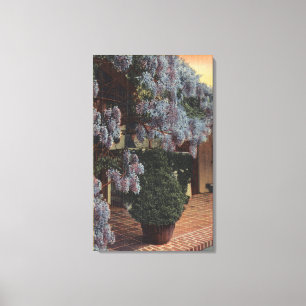 CaliforniaWisteria Plant in Bloom Canvas Print