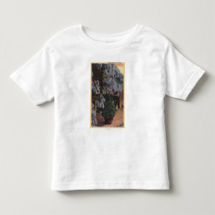 CaliforniaWisteria Plant in Bloom Toddler T-Shirt