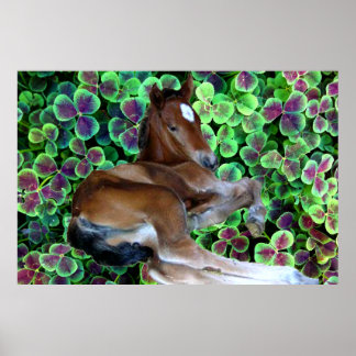 CALISTA IN CLOVER Poster