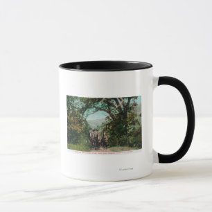 Calistoga and Geyser Stagecoach on Foss Road Mug