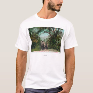 Calistoga and Geyser Stagecoach on Foss Road T-Shirt