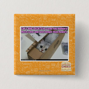 Call 1-800-LOLCATS 15 Cm Square Badge