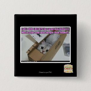 Call 1-800-LOLCATS 15 Cm Square Badge