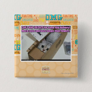 Call 1-800-LOLCATS 15 Cm Square Badge