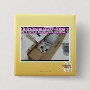 Call 1-800-LOLCATS 15 Cm Square Badge