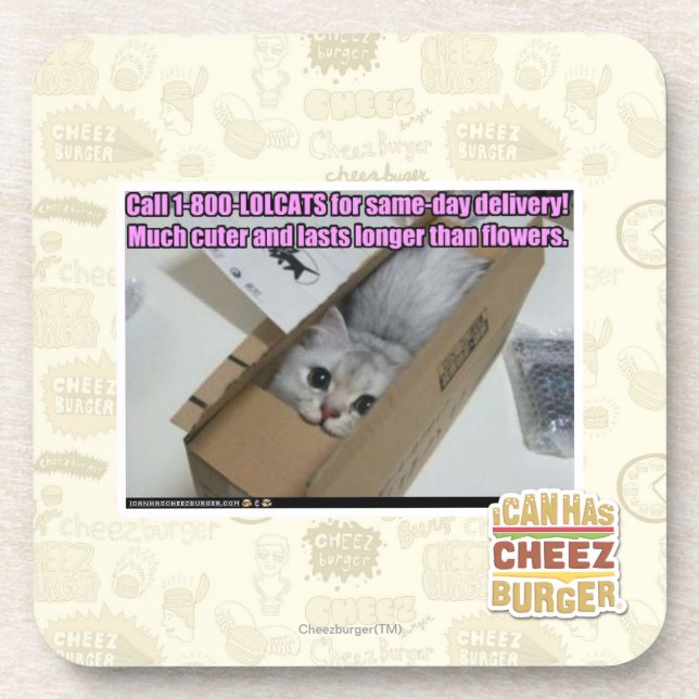 Call 1-800-LOLCATS Coaster (Front)