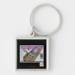 Call 1-800-LOLCATS Key Ring