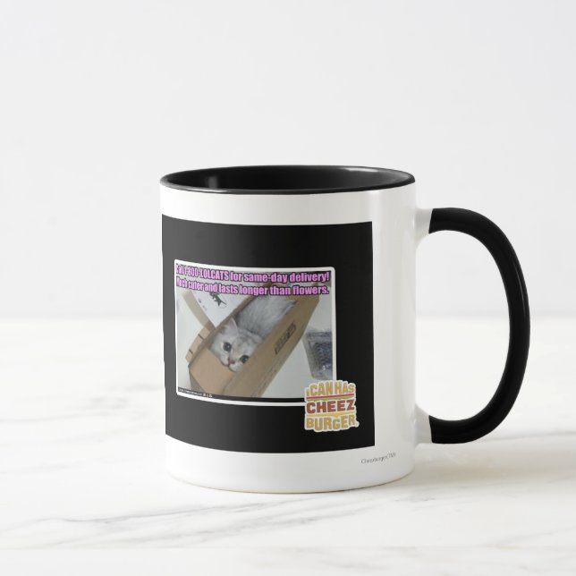 Call 1-800-LOLCATS Mug (Right)