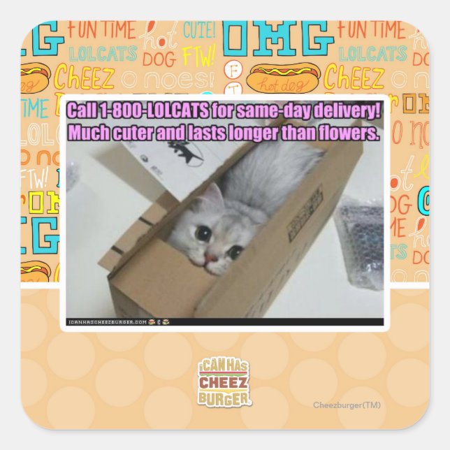 Call 1-800-LOLCATS Square Sticker (Front)