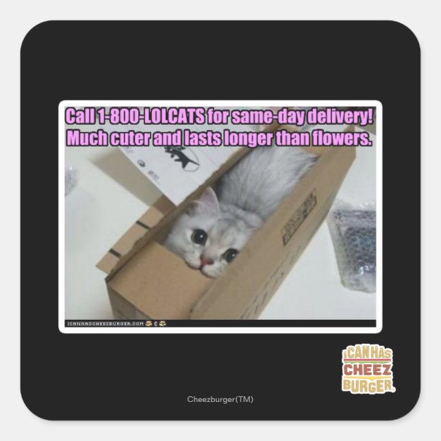 Call 1-800-LOLCATS Square Sticker (Front)