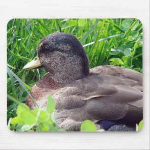 Call Duck Drake Mouse Mat