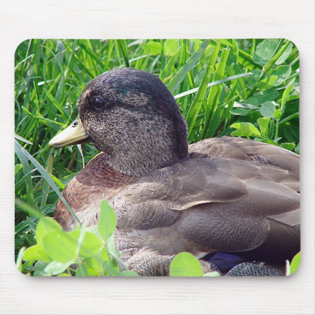 Call Duck Drake Mouse Mat (Front)