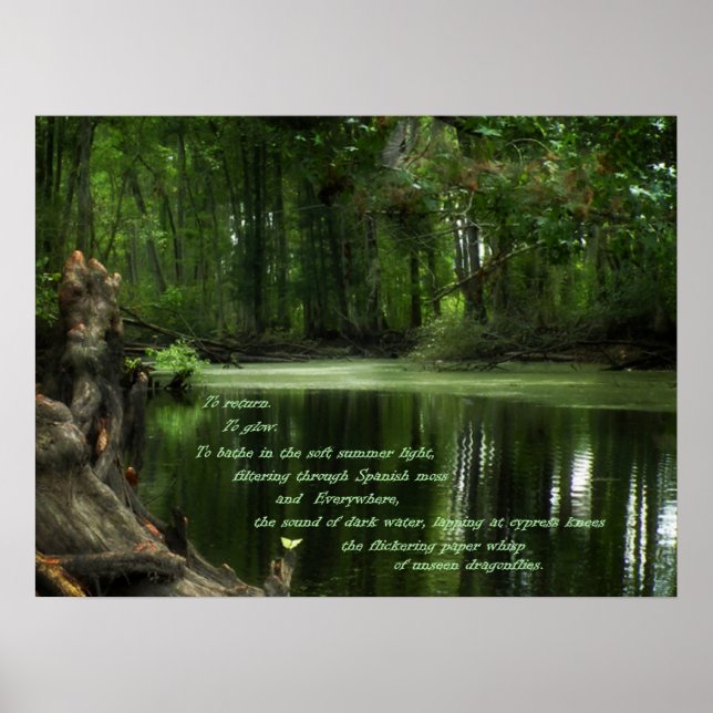 Call of the South Photo Postser Poster (Front)