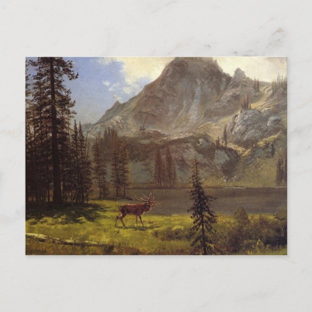 Call of the Wild Postcard (Front)