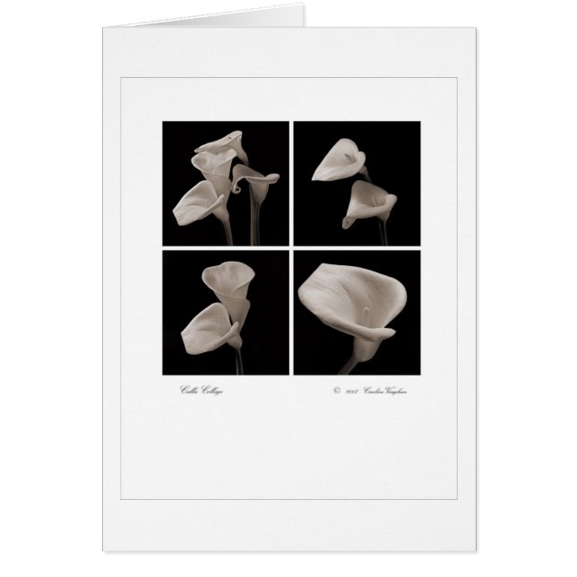 Calla_collage_2007_Brochure (Front)