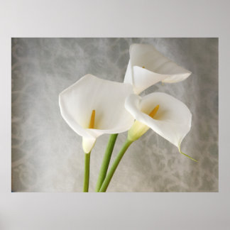 calla lilies apron poster large