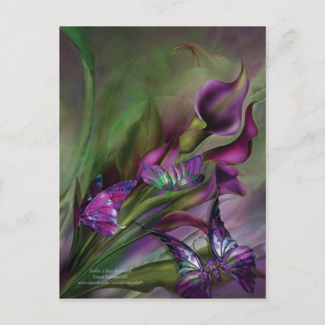 Calla Lilies Art Postcard (Front)