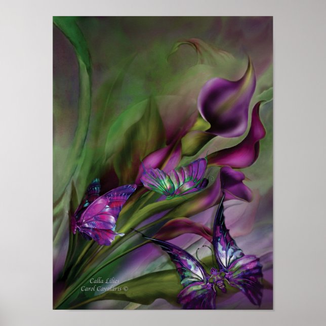 Calla Lilies Art Poster/Print Poster (Front)