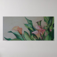 Calla Lilies Art Print