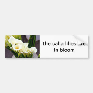 calla lilies bumper sticker