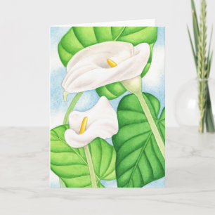 Calla Lilies Card