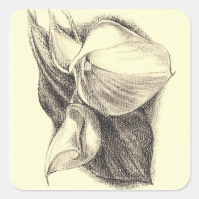 Calla Lilies Drawing Square Sticker (Front)