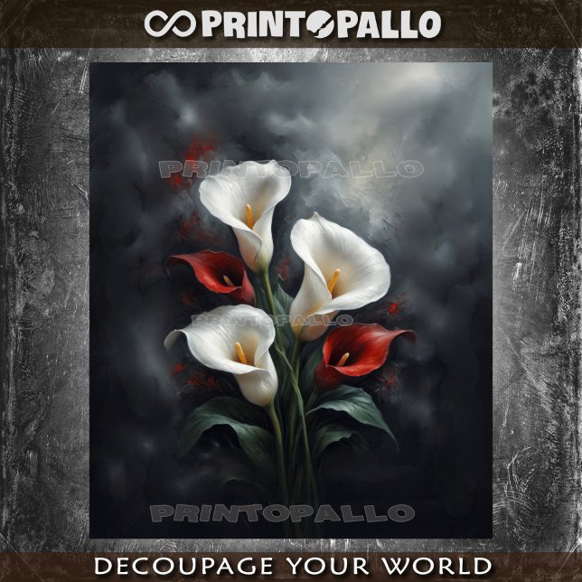 Calla lilies flowers composition #2 on black  tissue paper (Creator Uploaded)