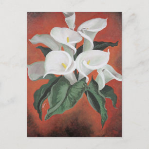 Calla Lilies On A Red Background Postcard