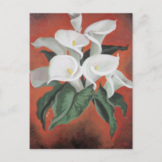 Calla Lilies On A Red Background Postcard