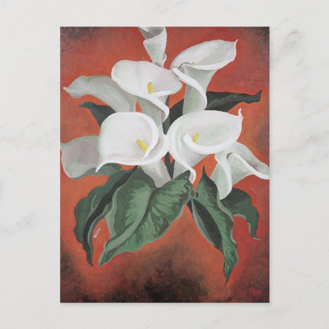 Calla Lilies On A Red Background Postcard (Front)