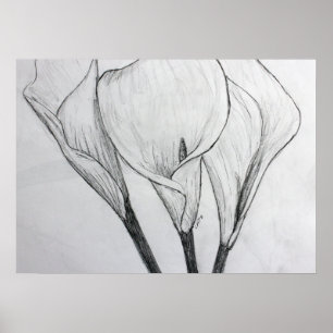 Calla Lilies Pencil Sketch Drawing Art Print